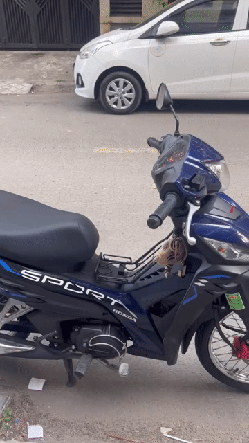 Honda RSX Sport Xanh đen 11000 km. Mua bán Xe máy tại Quận Gò Vấp Tp Hồ Chí Minh được đăng bởi Đặng Trung Hậu hình 1