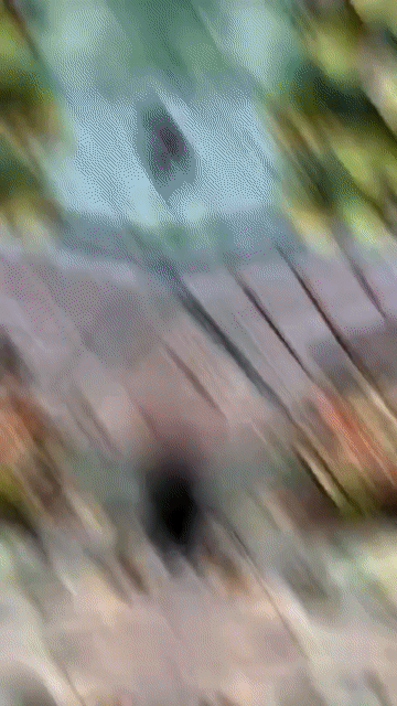 Măng cụt Lái Thiêu. Mua bán Đồ ăn, thực phẩm và các loại khác tại Thành phố Thuận An Bình Dương được đăng bởi Trung hình 1