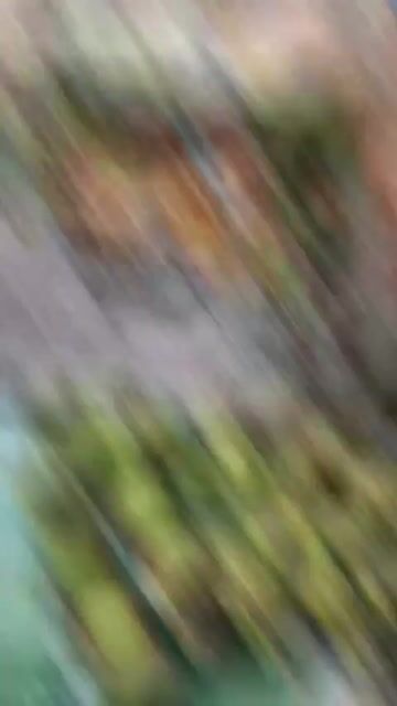 Măng cụt Lái Thiêu. Mua bán Đồ ăn, thực phẩm và các loại khác tại Thành phố Thuận An Bình Dương được đăng bởi Trung hình 1