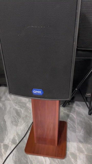 Loa karaoke DMX ES-12 Đen bass 30cm. Mua bán Tivi, Âm thanh tại Thành phố Biên Hòa Đồng Nai được đăng bởi Vẫn đợi em  hình 1