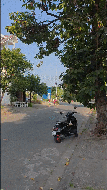 Mua bán Đất Thành phố Thủ Đức Tp Hồ Chí Minh diện tích 120 m² giá 7,15 tỷ