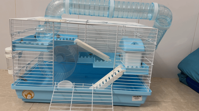 Lồng vận chuyển Hamster Mới 99%. Mua bán Phụ kiện, Thức ăn, Dịch vụ tại Quận Tân Phú Tp Hồ Chí Minh được đăng bởi Phan Tuấn Phát hình 1