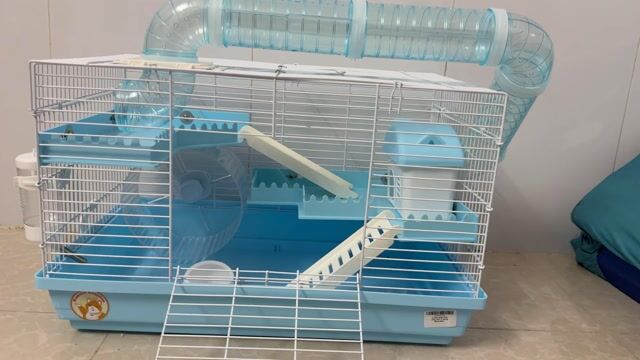 Lồng vận chuyển Hamster Mới 99%. Mua bán Phụ kiện, Thức ăn, Dịch vụ tại Quận Tân Phú Tp Hồ Chí Minh được đăng bởi Phan Tuấn Phát hình 1