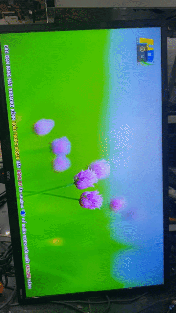 Tivi Onn Roku TV Đen. Mua bán Tivi, Âm thanh tại Quận Hoàng Mai Hà Nội được đăng bởi Đàm Duy Đắc hình 1
