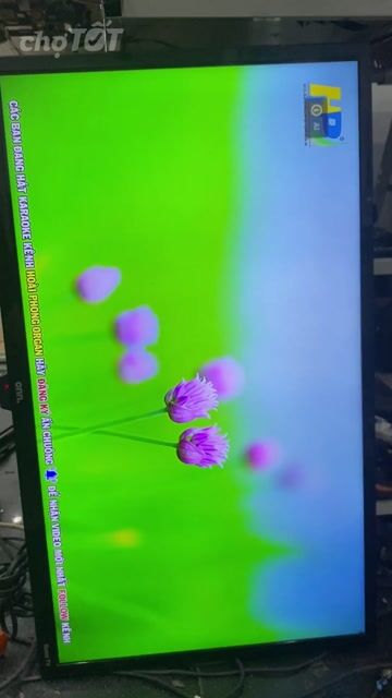 Tivi Onn Roku TV Đen. Mua bán Tivi, Âm thanh tại Quận Hoàng Mai Hà Nội được đăng bởi Đàm Duy Đắc hình 1