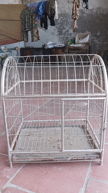 Lồng chim Inox Bạc 35x45x50x3.5. Mua bán Phụ kiện, Thức ăn, Dịch vụ tại Huyện Phú Bình Thái Nguyên được đăng bởi Mr Hoàng hình 1