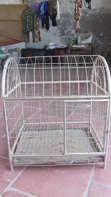 Lồng chim Inox Bạc 35x45x50x3.5. Mua bán Phụ kiện, Thức ăn, Dịch vụ tại Huyện Phú Bình Thái Nguyên được đăng bởi Mr Hoàng hình 1