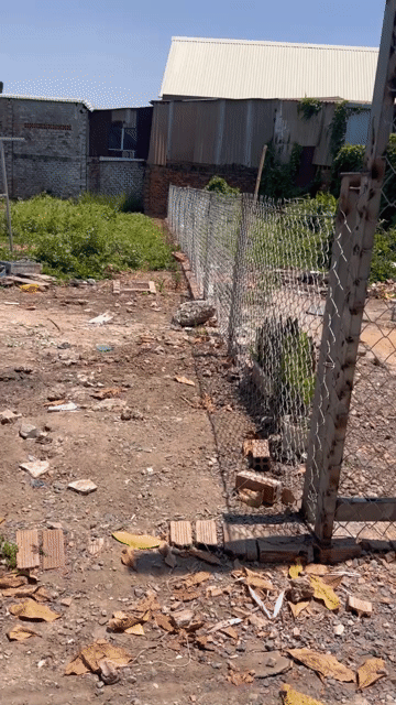 Cho thuê Đất Thành phố Thủ Đức Tp Hồ Chí Minh diện tích 120 m² giá 5 triệu/tháng