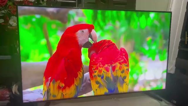 Tivi Samsung 65 inch Màn zin chưa sửa. Mua bán Tivi, Âm thanh tại Quận Long Biên Hà Nội được đăng bởi Nguyễn Hoài Nam hình 1
