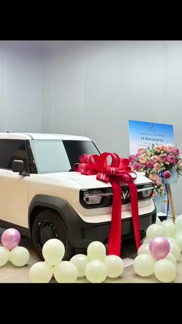 VF3 TRẢ TRƯỚC CHỈ 24 TRIỆU NHẬN XE. Mua bán Ô tô tại Quận Cái Răng Cần Thơ được đăng bởi Huỳnh Nhã Vinfast Quốc Việt Cần Thơ hình 1