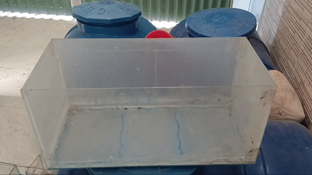 Hồ cá cảnh Kính 60x40x30cm Thủy sinh. Mua bán Thú cưng khác tại Huyện Cần Giuộc Long An được đăng bởi nhok giang hình 1