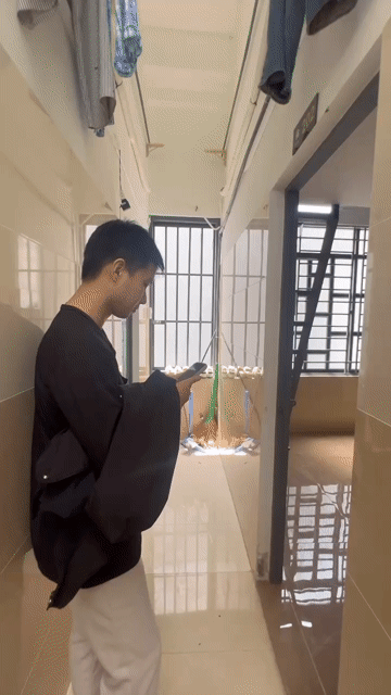 Cho thuê Phòng trọ Quận 7 Tp Hồ Chí Minh diện tích 28 m² giá 4,5 triệu/tháng