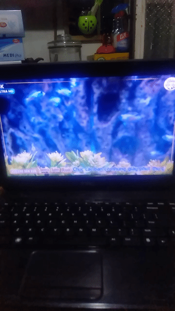 Dell Inspiron 3420 i5-3210M 4GB, hhd 500gb. Mua bán Laptop tại Quận 7 Tp Hồ Chí Minh được đăng bởi Thiên trung Sơn hình 1