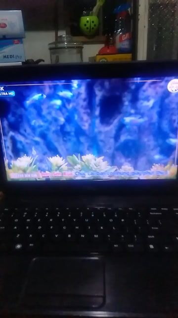 Dell Inspiron 3420 i5-3210M 4GB, hhd 500gb. Mua bán Laptop tại Quận 7 Tp Hồ Chí Minh được đăng bởi Thiên trung Sơn hình 1