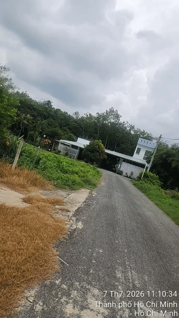 Mua bán Đất Huyện Củ Chi Tp Hồ Chí Minh diện tích 165 m² giá 1,35 tỷ