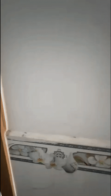 Tủ bếp Nhựa Ecoplast Xám. Mua bán Tủ, kệ gia đình tại Huyện Hóc Môn Tp Hồ Chí Minh được đăng bởi Nguyên tủ bếp nhựa ECOPLAST hình 1