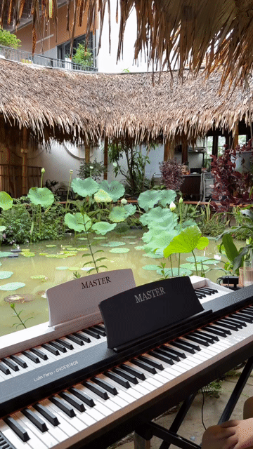 Đàn piano điện Master C300. Mua bán Nhạc cụ tại Quận Ngũ Hành Sơn Đà Nẵng được đăng bởi Luân Piano hình 1