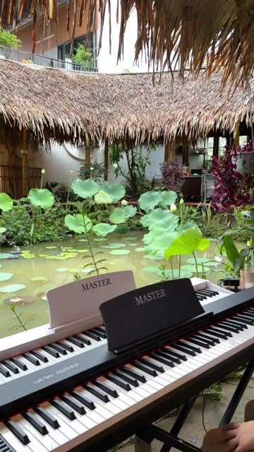 Đàn piano điện Master C300. Mua bán Nhạc cụ tại Quận Ngũ Hành Sơn Đà Nẵng được đăng bởi Luân Piano hình 1