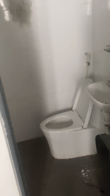 Cho thuê Nhà ở Quận Gò Vấp Tp Hồ Chí Minh diện tích 20 m² giá 4,5 triệu/tháng