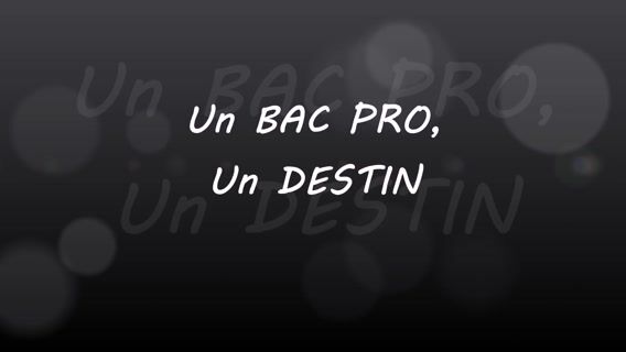Un avenir avec le bac pro AGORA