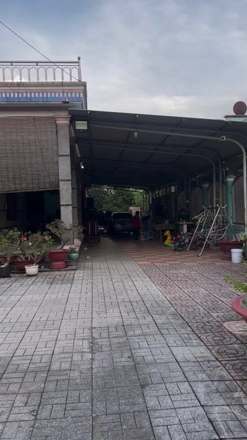 Vẹt Hahn Macaw Xanh lá. Mua bán Chim tại Huyện Bắc Tân Uyên Bình Dương được đăng bởi Lê văn khánh hình 1