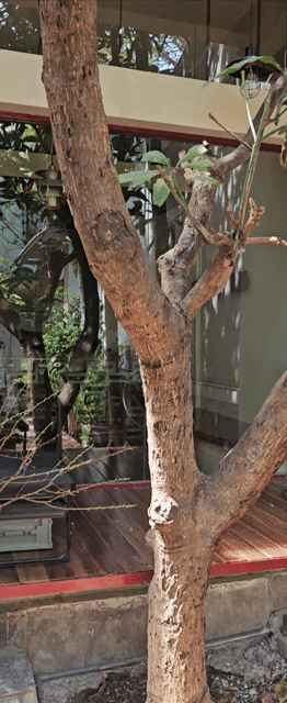 Cho thuê Phòng trọ Quận Bình Thạnh Tp Hồ Chí Minh diện tích 32 m² giá 4,6 triệu/tháng