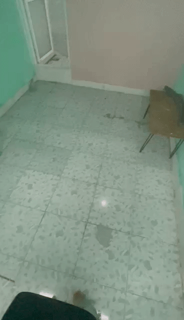 Cho thuê Phòng trọ Quận Bình Thạnh Tp Hồ Chí Minh diện tích 15 m² giá 3 triệu/tháng