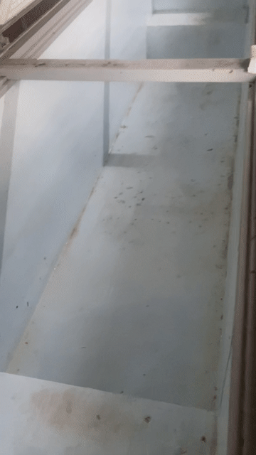 Tủ đông Sanaky 1300 lít 3 cánh Đã sử dụng. Mua bán Tủ lạnh tại Huyện Hóc Môn Tp Hồ Chí Minh được đăng bởi Bùi Thế Sơn hình 1