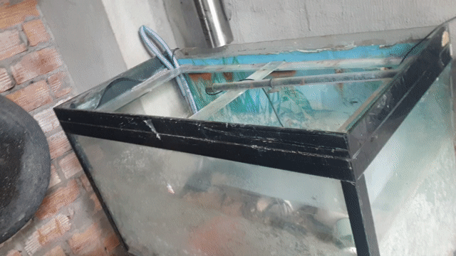 Bể cá Kính, Kim loại Lớn. Mua bán Phụ kiện, Thức ăn, Dịch vụ tại Thị xã Bến Cát Bình Dương được đăng bởi Vũ Quốc Sử hình 1