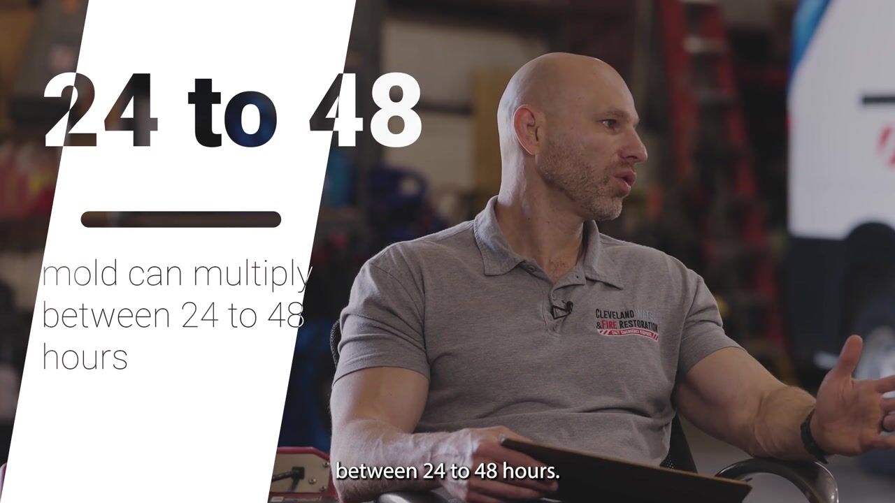 Video preview: How Fast Can Mold Grow After Water Damage?