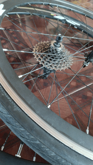 Bánh xe Bontrager 700c đã sử dụng. Mua bán Phụ tùng xe tại Huyện Krông A Na Đắk Lắk được đăng bởi kiểu như ngoc hình 1