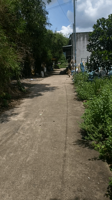 Cho thuê Đất Thành phố Thuận An Bình Dương diện tích 400 m² giá 10 triệu/tháng