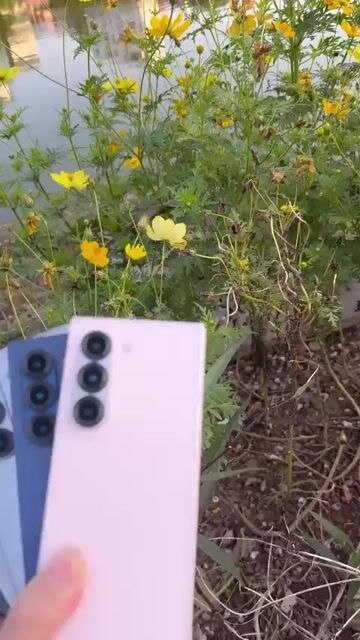 Zfold6 256Gb zin áp. Mua bán Điện thoại tại Quận Cầu Giấy Hà Nội được đăng bởi Thanh Thoa hình 1