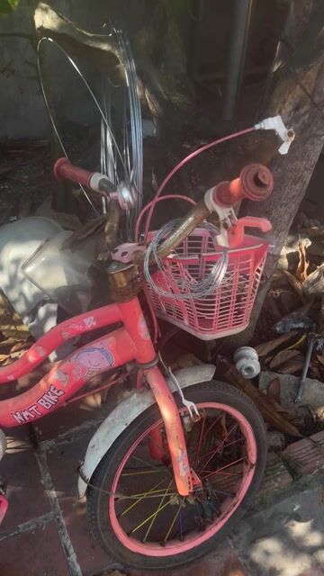 xe đang sử dụng. Mua bán Xe đạp tại Thành phố Biên Hòa Đồng Nai được đăng bởi Vo Thanh Binh hình 1