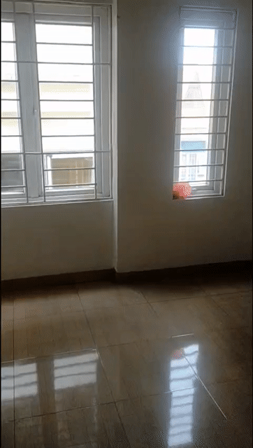 Cho thuê Nhà ở Huyện Thanh Trì Hà Nội diện tích 35 m² giá 9 triệu/tháng