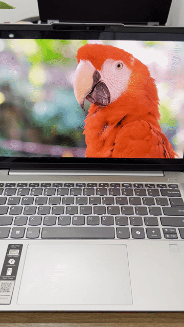 Lenovo Snapdragon X Plus 16GB/512GB. Mua bán Laptop tại Quận Bình Thạnh Tp Hồ Chí Minh được đăng bởi Mai Tấn Tài hình 1
