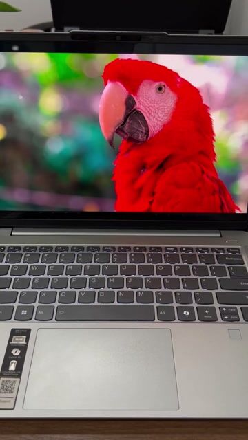 Lenovo Snapdragon X Plus 16GB/512GB. Mua bán Laptop tại Quận Bình Thạnh Tp Hồ Chí Minh được đăng bởi Mai Tấn Tài hình 1