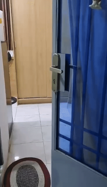 Cho thuê Phòng trọ Quận 10 Tp Hồ Chí Minh diện tích 25 m² giá 4,6 triệu/tháng