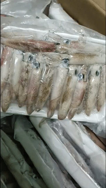 Mực cơm 40-45 con/kg. Mua bán Đồ ăn, thực phẩm và các loại khác tại Quận Cẩm Lệ Đà Nẵng được đăng bởi Đoàn thị Kiêm Hiếu hình 1