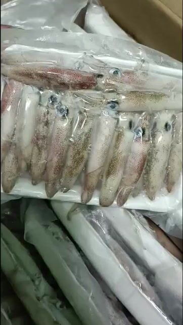 Mực cơm 40-45 con/kg. Mua bán Đồ ăn, thực phẩm và các loại khác tại Quận Cẩm Lệ Đà Nẵng được đăng bởi Đoàn thị Kiêm Hiếu hình 1