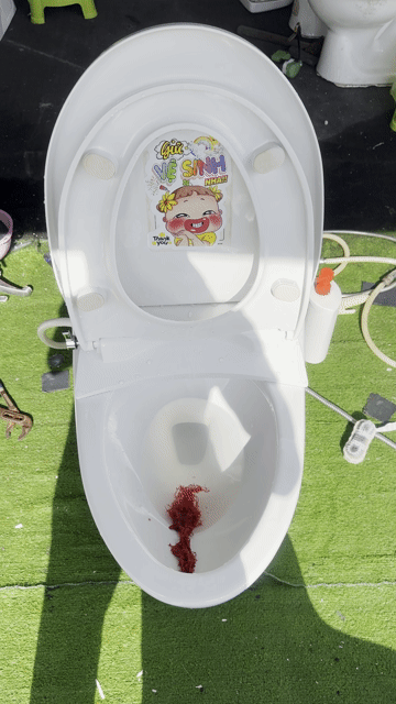 Bồn cầu Toto C914 Trắng đã qua sử dụng 🚽🚽🚽. Mua bán Thiết bị vệ sinh, nhà tắm tại Quận Tân Bình Tp Hồ Chí Minh được đăng bởi Đồ Cũ Giá Tốt  hình 1
