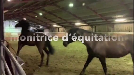 MONITRICE D'EQUITATION