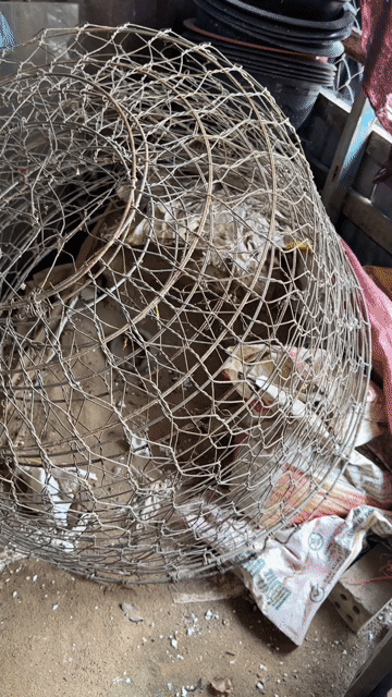 Bội gà kim loại 8 tấc. Mua bán Phụ kiện, Thức ăn, Dịch vụ tại Quận Cái Răng Cần Thơ được đăng bởi phong9 hình 1