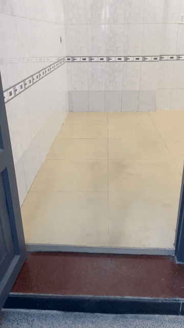 Cho thuê Phòng trọ Quận 8 Tp Hồ Chí Minh diện tích 25 m² giá 3,8 triệu/tháng