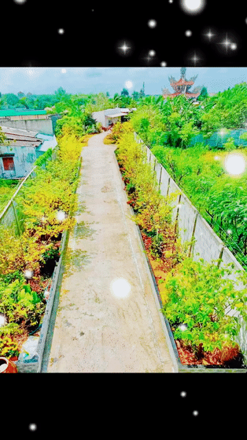 Mua bán Đất Thị xã Gò Công Tiền Giang diện tích 2100 m² giá 5 tỷ