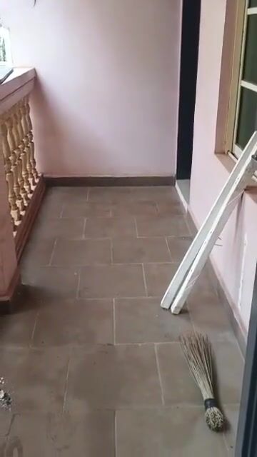 Spacious 3 bedroom apartment for rent