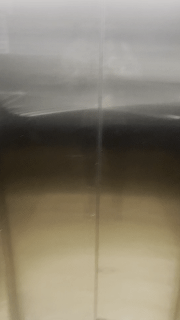 Cho thuê Phòng trọ Quận Tân Bình Tp Hồ Chí Minh diện tích 16 m² giá 3,3 triệu/tháng