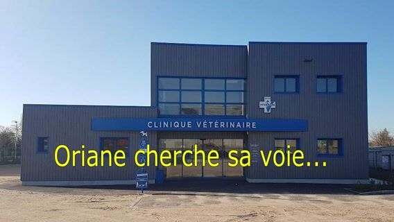 Oriane cherche sa voie...