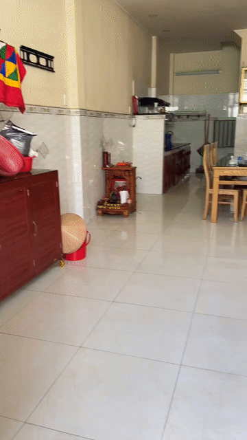 Cho thuê Nhà ở Huyện Bình Chánh Tp Hồ Chí Minh diện tích 43 m² giá 6 triệu/tháng