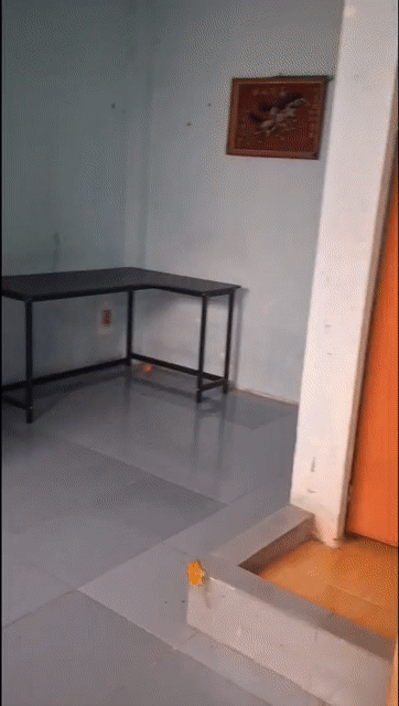 Cho thuê Phòng trọ Quận 6 Tp Hồ Chí Minh diện tích 12 m² giá 1,5 triệu/tháng